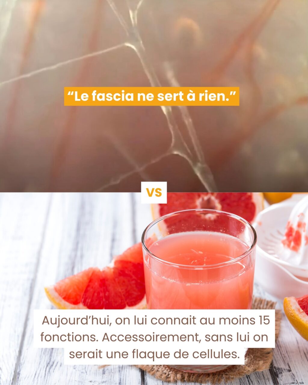 Instagram post from fascia_byclara. This post is in position 3.