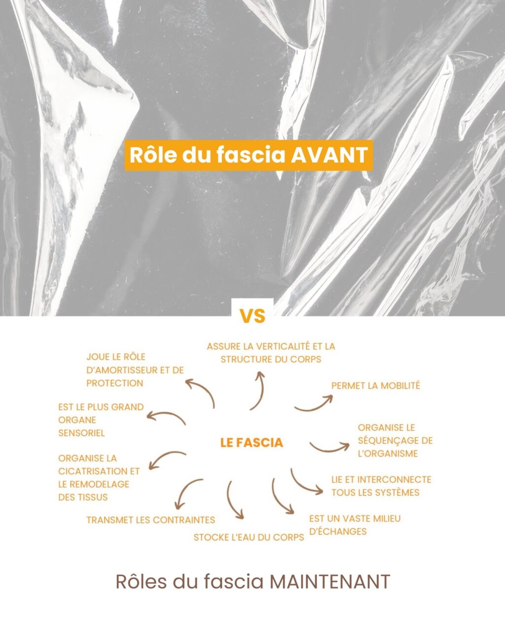 Instagram post from fascia_byclara. This post is in position 5.