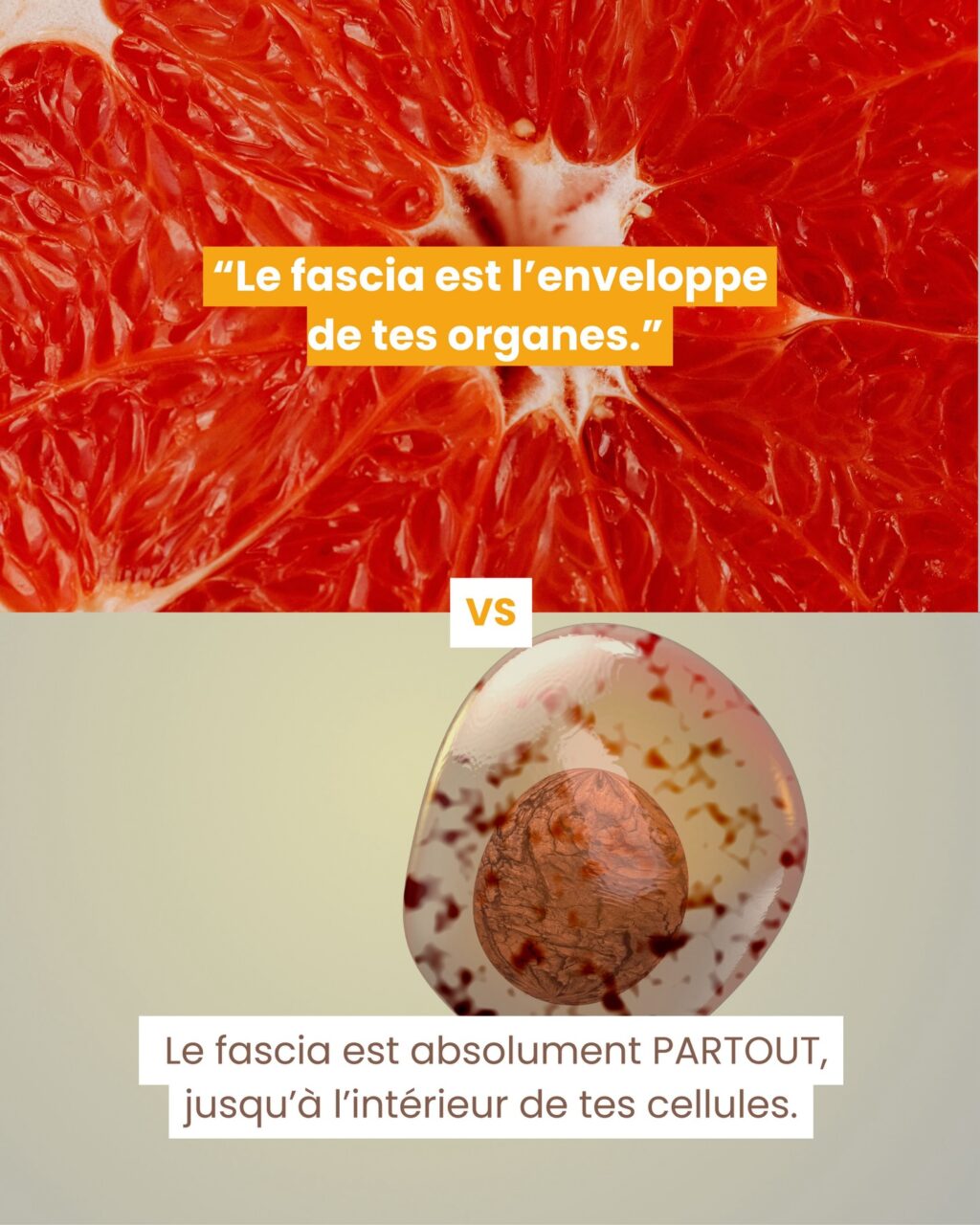 Instagram post from fascia_byclara. This post is in position 2.