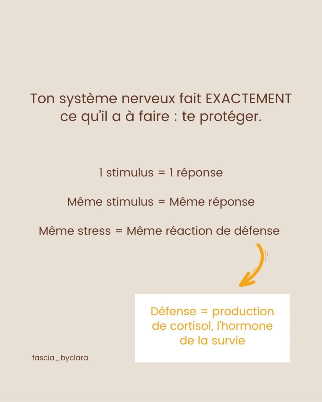 Instagram post from fascia_byclara. This post is in position 8.