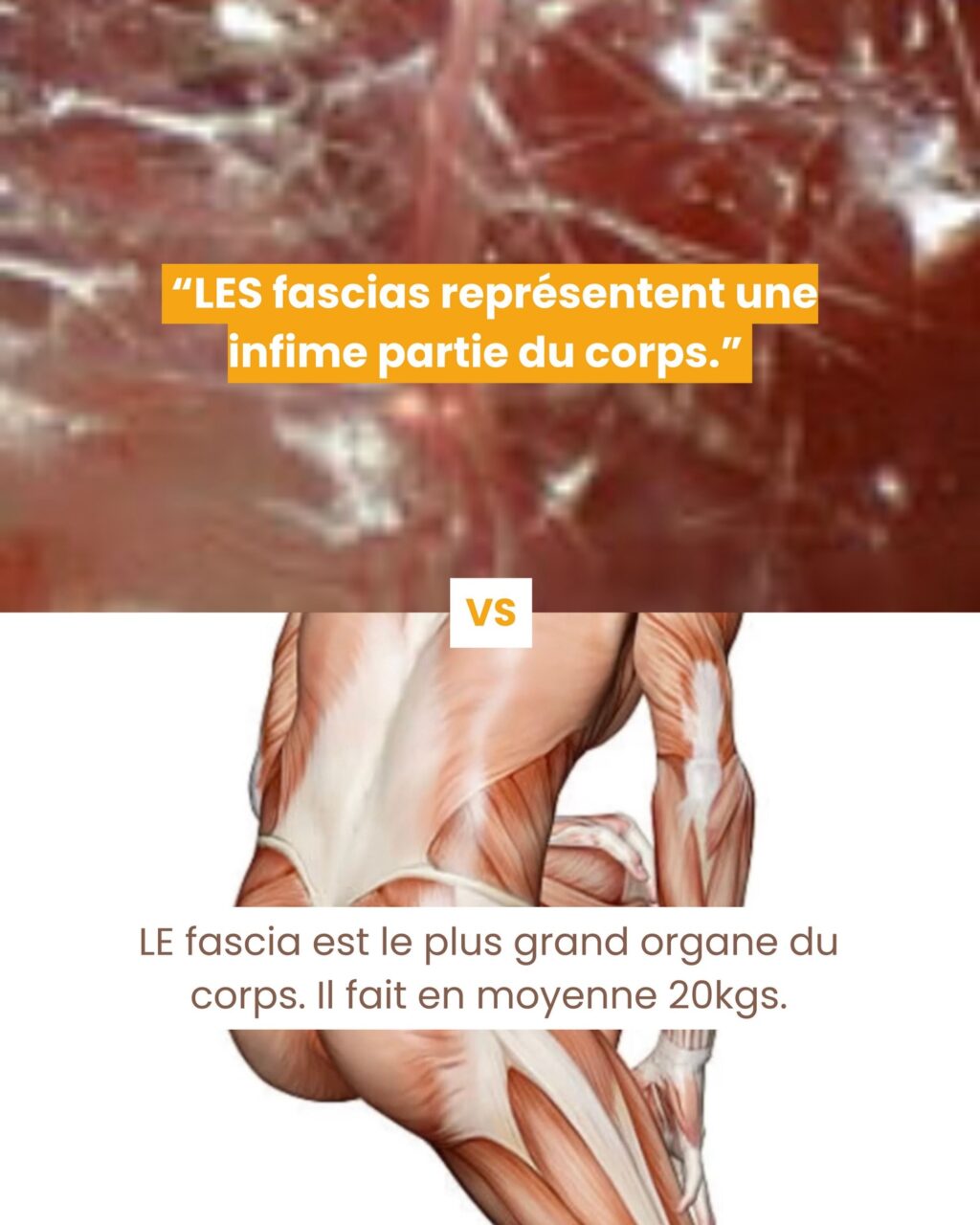 Instagram post from fascia_byclara. This post is in position 1.