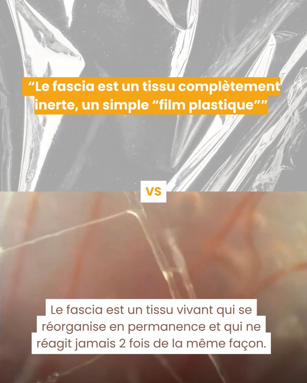 Instagram post from fascia_byclara. This post is in position 5.