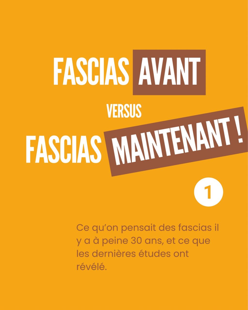 Instagram post from fascia_byclara. This post is in position 0.