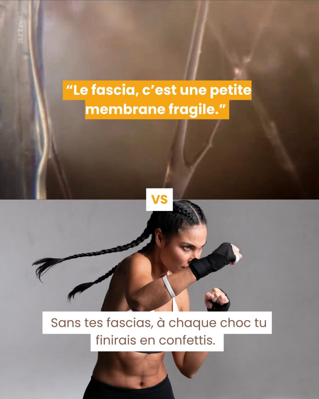 Instagram post from fascia_byclara. This post is in position 4.